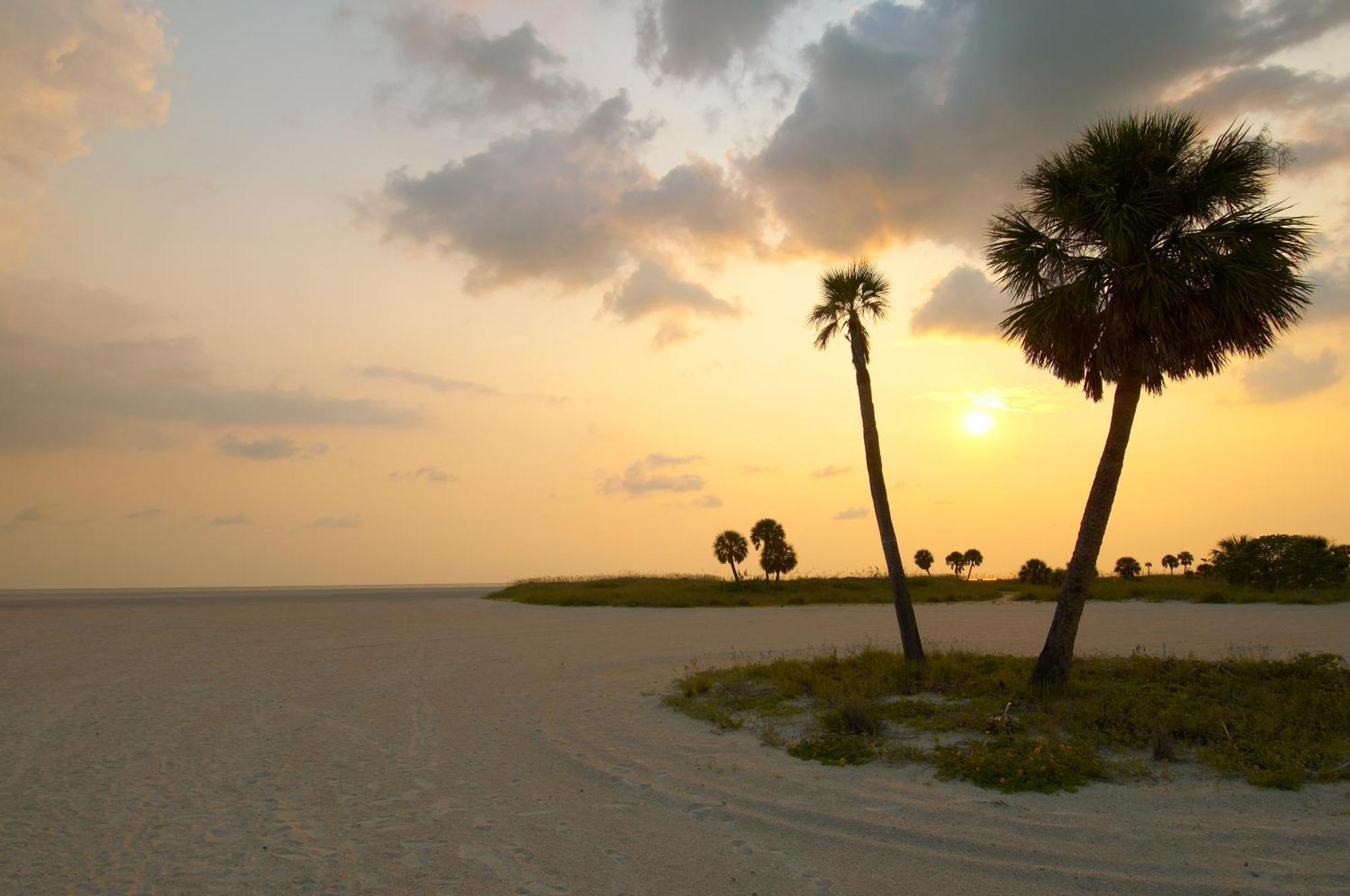 South Beach Oceanfront Resort St. Pete Beach Eksteriør bilde